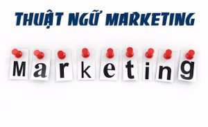 Nam-bat-ngay-20-thuat-ngu-Marketing-ma-moi-Marketer-đeu-phai-biet