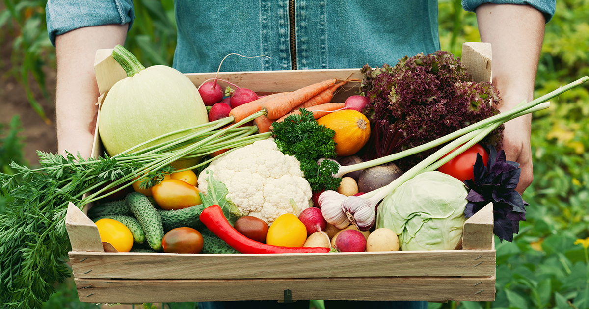 Как можно получить продукты. Органические продукты плодовые. Organic food. Органические продукты польза.